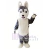 Cute Grey Husky Dog Mascot Costumes Animal