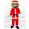 Grey Bear in Santa Outfit Adult Mascot Costume