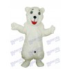 White Polar Bear Adult Mascot Costume