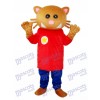 Star Bear Mascot Adult Costume