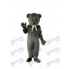 Gray Cook Bear Mascot Adult Costume