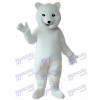 Polar Bear Mascot Adult Costume