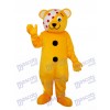 Bear with Eye Patch Mascot Adult Costume