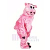 Beautiful Pink Pig Mascot Costumes Animal