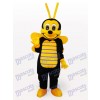 Little Bee Insect Adult Mascot Costume