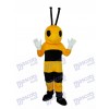 Ant Mascot Adult Costume