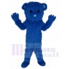 Bear mascot costume