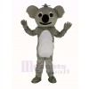 Funny Koala Adult Mascot Costume