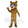 Bear mascot costume