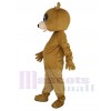 Bear mascot costume