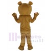 Bear mascot costume