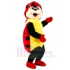 Cute Ladybug Mascot Costumes Cartoon	