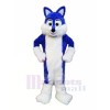 Blue Furry Husky Mascot Costumes Animal