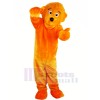 Funny Lion Mascot Costumes 