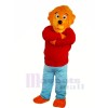 Funny Lion with Red Sweater Mascot Costumes Animal