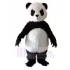 Panda with Long Eyelashes Mascot Costumes Animal