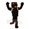 Strong Brown Bear Mascot Costumes Animal
