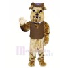 Brown Bulldog with Vest Mascot Costumes Animal	
