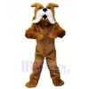 Strong Brown Bulldog Mascot Costumes Animal