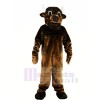 Strong Brown Bull Mascot Costumes Animal