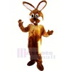 Brown and White Rabbit Mascot Costumes Animal