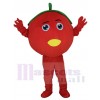 Tomato mascot costume