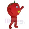 Tomato mascot costume