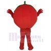 Tomato mascot costume