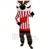 Strong Bucky Badger Mascot Costumes Animal
