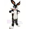 Cute Bunny with Long Ears Mascot Costumes Animal