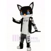 Sir Black Cat in Black Coat Mascot Costume Cartoon