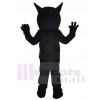 Cat mascot costume