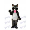 Foam Bobcats Mascot Adult Costume