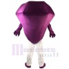 Diamond mascot costume