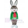 Bunny Rabbit mascot costume