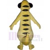 Meerkat mascot costume