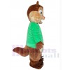 Chipmunk mascot costume