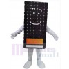 Solar Panel mascot costume