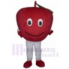 Apple Fruit mascot costume