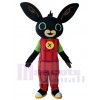 Rabbit mascot costume
