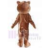 Bear mascot costume