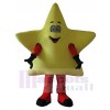 Star mascot costume