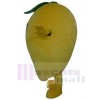 Mango mascot costume