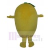 Mango mascot costume