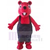 Squirrel mascot costume