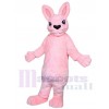 Bunny Rabbit mascot costume