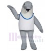 Dolphin mascot costume