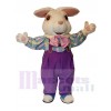 Easter Bunny Rabbit mascot costume