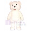 Teddy Bear mascot costume