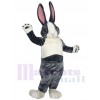 Bunny Rabbit mascot costume